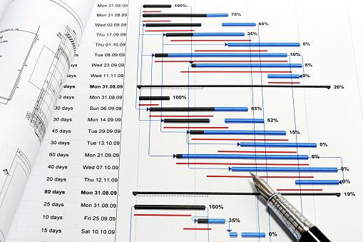 Project programme Gantt chart — APF capital programme management $250M shopping centre delivery