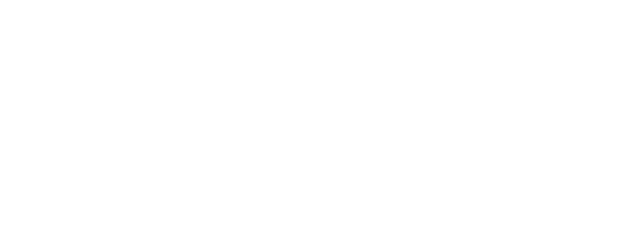 pmi_new_zealand_chapter_horizontal_logo_white_rgb_882px_w_72ppi (2)